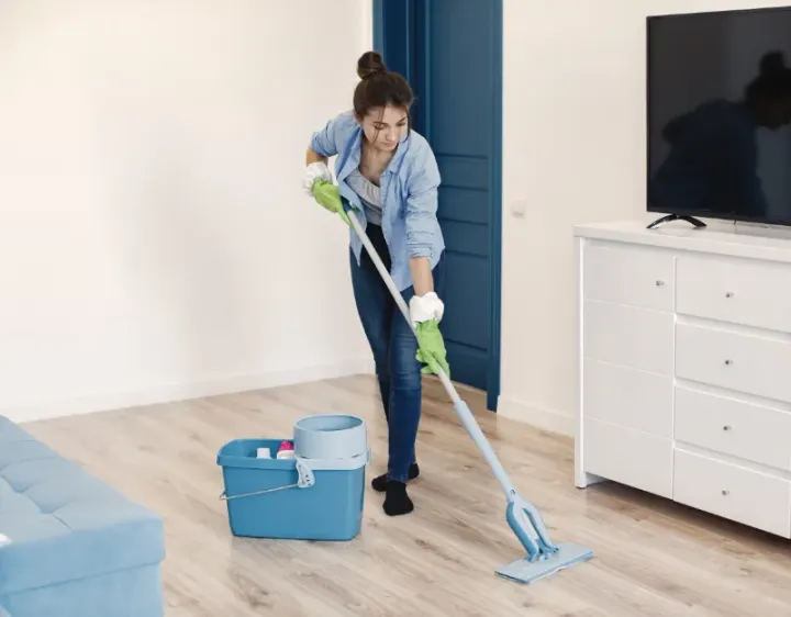Femme de ménage Monthyon